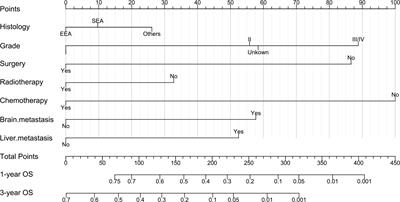 Survival nomogram for endometrial cancer with lung metastasis: A SEER database analysis